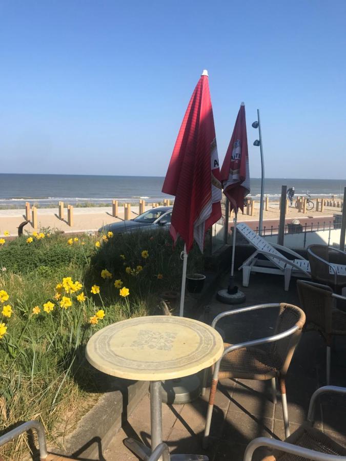 Chalet For 2 At The Beach Zandvoort Exteriör bild